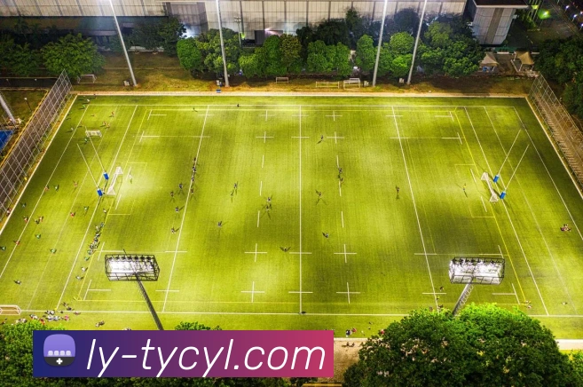 太阳城平台APP 体育赛事宣传图